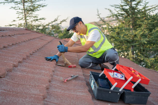 Best Roof Gutter Cleaning  in Eastover, NC